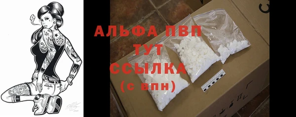 ECSTASY Богородицк