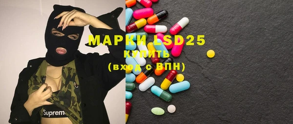 ECSTASY Богородицк