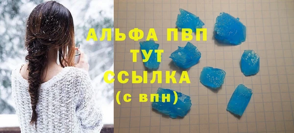 ECSTASY Богородицк