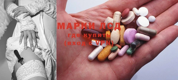 ECSTASY Богородицк